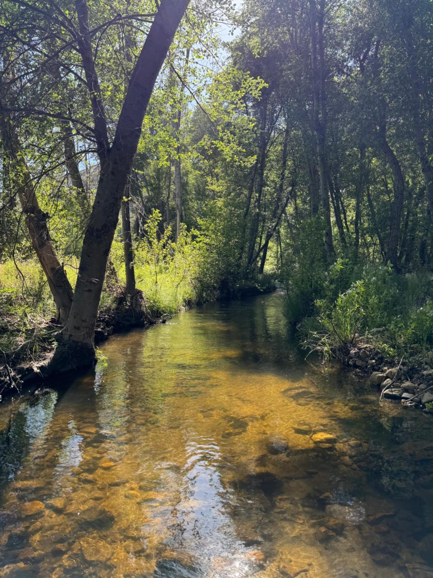 Peppermint Falls Ranch Villa Ponderosa Kültér fotó